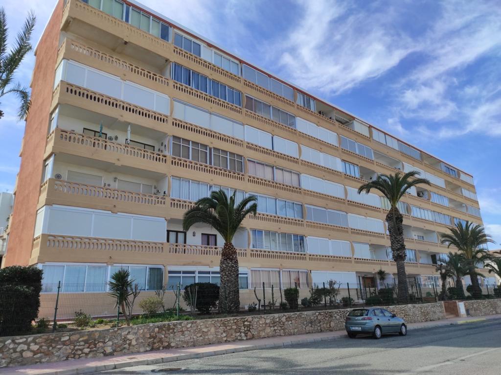 R-1810 1 bedroom Apartment in La Mata R-1810 1 bedroom Apartment in La Mata