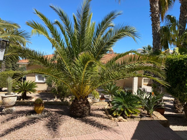 For Sale. Villa in Villamartin