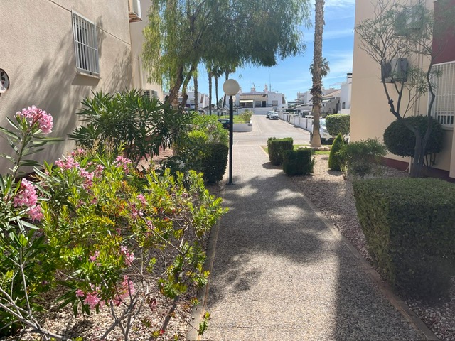 apartment en playa-flamenca ·  179900€