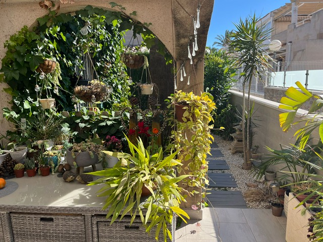 quad-house en playa-flamenca ·  199999€