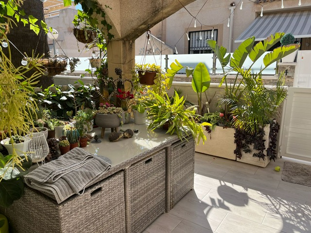 quad-house en playa-flamenca ·  199999€
